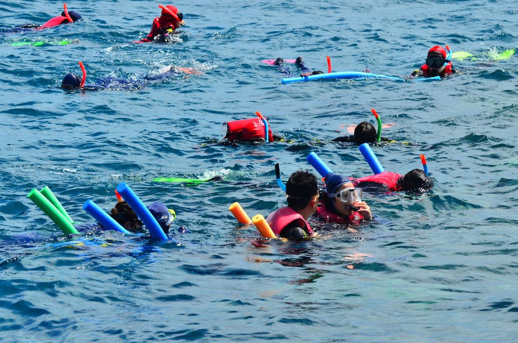 blivale_image_blog_australia_people_snorkelling_and_dive_in Travel to Australia: Discover the land of contrasts between city and nature