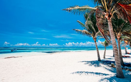 blivale_mexico_akumal_beach_541x360 Are you planning your trip to Mexico? Suggestions of what to see