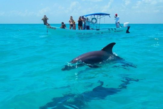 blivale_mexico_riserva_biosfera_sian_kaan_541x360 Are you planning your trip to Mexico? Suggestions of what to see