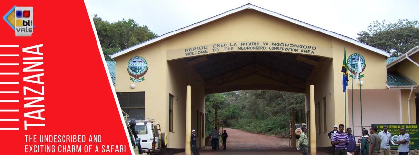 blivale_tanzania_undescribed_exciting_charm_safari_851x315 TANZANIA: THE UNDESCRIBED AND EXCITING CHARM OF A SAFARI